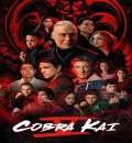 Cobra Kai S05 (2022) (Hindi + English) Dual Audio Completed Web Series HEVC ESub
